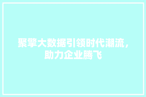 聚擎大数据引领时代潮流，助力企业腾飞