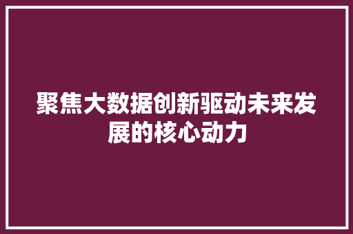 聚焦大数据创新驱动未来发展的核心动力