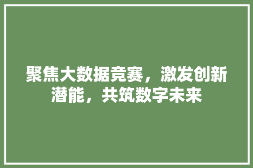 聚焦大数据竞赛，激发创新潜能，共筑数字未来
