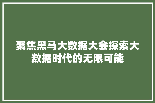 聚焦黑马大数据大会探索大数据时代的无限可能
