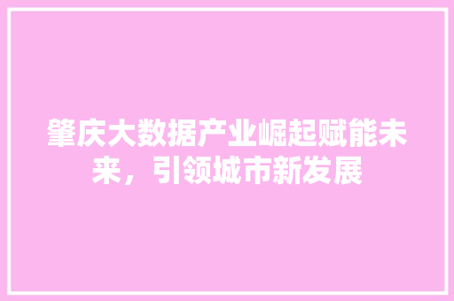 肇庆大数据产业崛起赋能未来，引领城市新发展