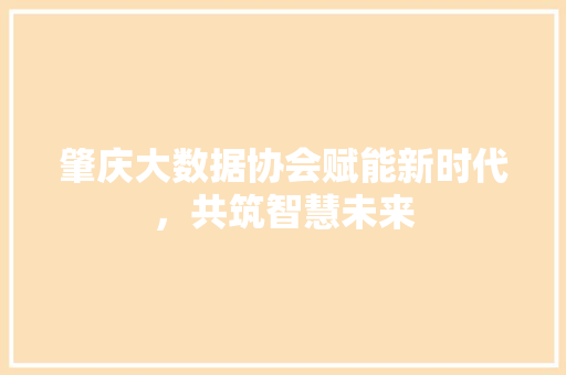 肇庆大数据协会赋能新时代，共筑智慧未来