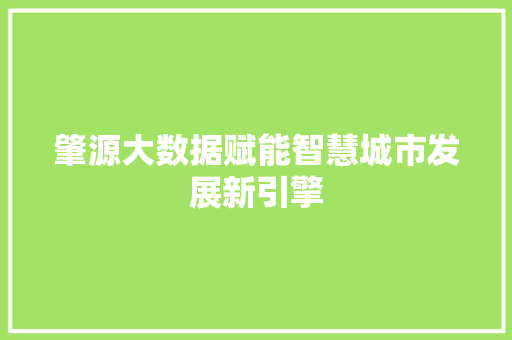 肇源大数据赋能智慧城市发展新引擎