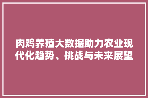 肉鸡养殖大数据助力农业现代化趋势、挑战与未来展望