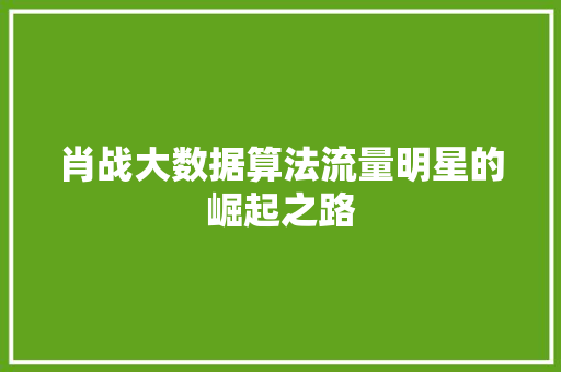 肖战大数据算法流量明星的崛起之路