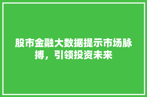 股市金融大数据提示市场脉搏，引领投资未来