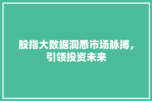 股指大数据洞悉市场脉搏，引领投资未来