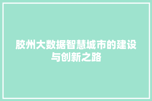 胶州大数据智慧城市的建设与创新之路