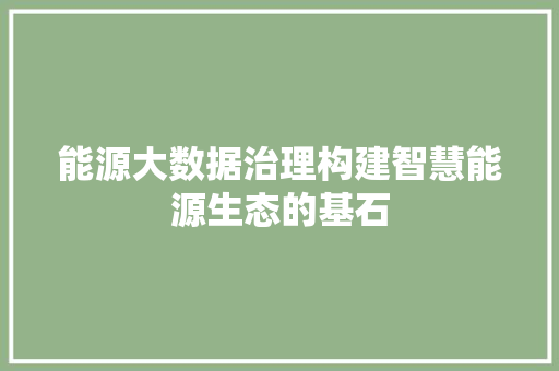 能源大数据治理构建智慧能源生态的基石