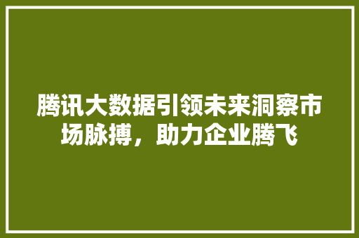腾讯大数据引领未来洞察市场脉搏，助力企业腾飞