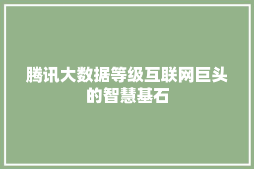 腾讯大数据等级互联网巨头的智慧基石