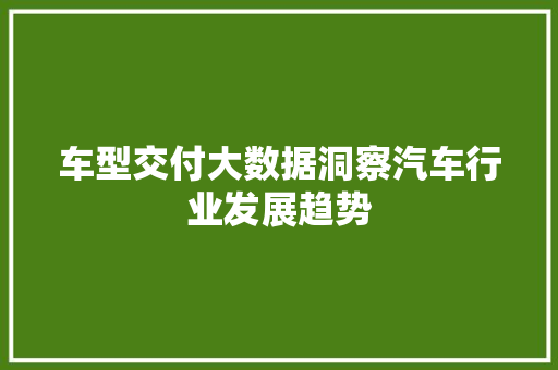 车型交付大数据洞察汽车行业发展趋势
