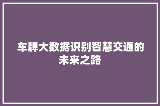 车牌大数据识别智慧交通的未来之路
