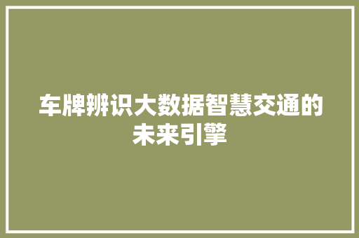 车牌辨识大数据智慧交通的未来引擎 服务器/数据库