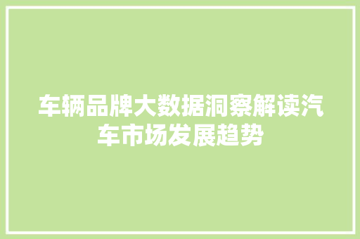 车辆品牌大数据洞察解读汽车市场发展趋势
