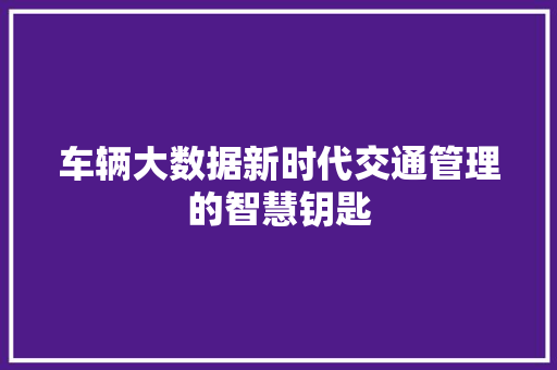 车辆大数据新时代交通管理的智慧钥匙 服务器/数据库