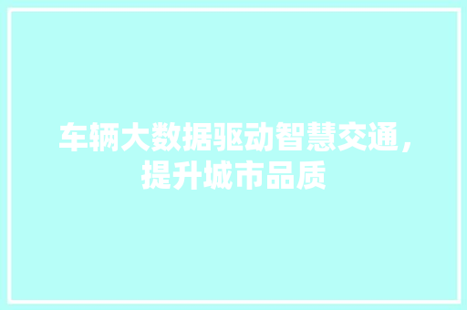 车辆大数据驱动智慧交通，提升城市品质