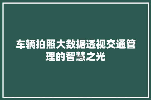 车辆拍照大数据透视交通管理的智慧之光