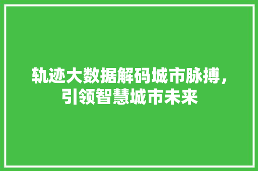 轨迹大数据解码城市脉搏，引领智慧城市未来
