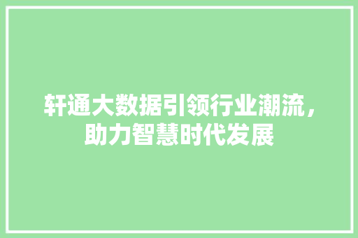 轩通大数据引领行业潮流，助力智慧时代发展 建站教程