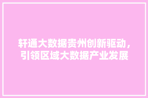 轩通大数据贵州创新驱动，引领区域大数据产业发展