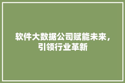 软件大数据公司赋能未来，引领行业革新