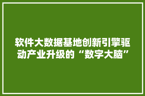 软件大数据基地创新引擎驱动产业升级的“数字大脑”
