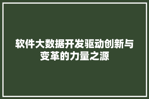 软件大数据开发驱动创新与变革的力量之源