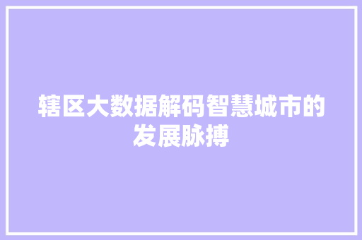 辖区大数据解码智慧城市的发展脉搏