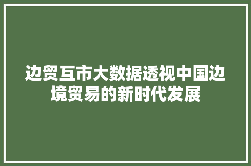 边贸互市大数据透视中国边境贸易的新时代发展