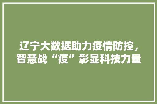 辽宁大数据助力疫情防控，智慧战“疫”彰显科技力量