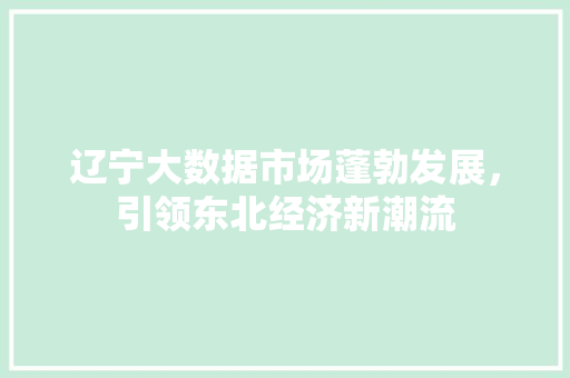 辽宁大数据市场蓬勃发展，引领东北经济新潮流