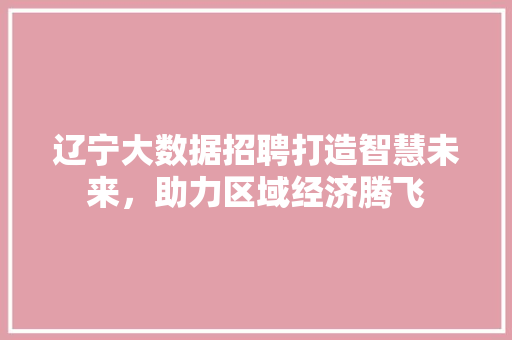 辽宁大数据招聘打造智慧未来，助力区域经济腾飞 服务器/数据库