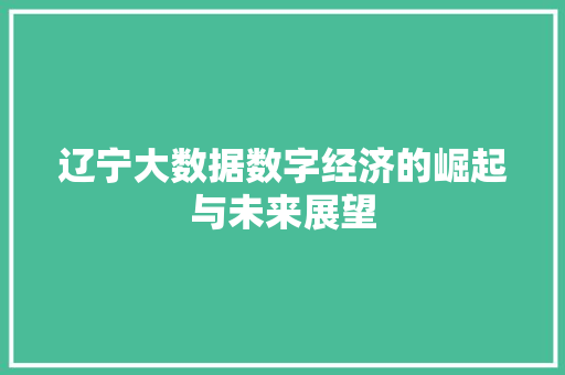辽宁大数据数字经济的崛起与未来展望