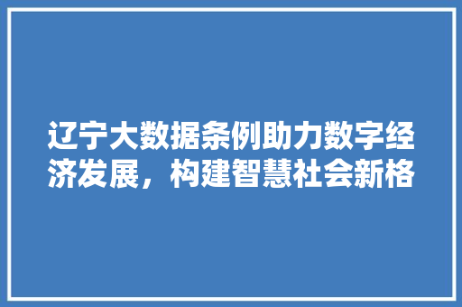 辽宁大数据条例助力数字经济发展，构建智慧社会新格局