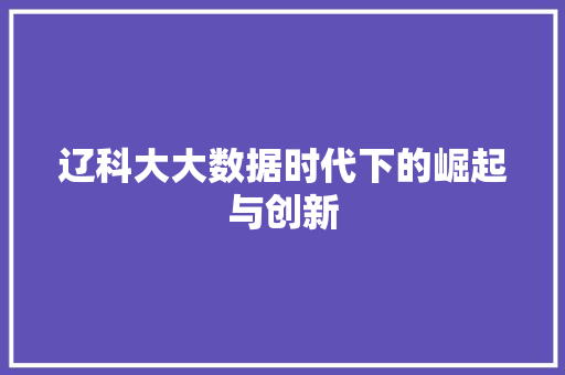 辽科大大数据时代下的崛起与创新