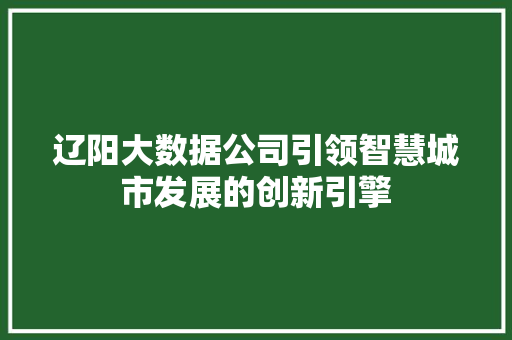 辽阳大数据公司引领智慧城市发展的创新引擎