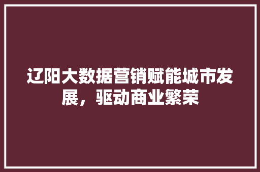 辽阳大数据营销赋能城市发展，驱动商业繁荣