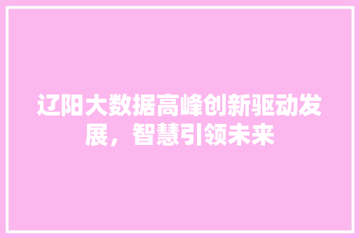 辽阳大数据高峰创新驱动发展，智慧引领未来