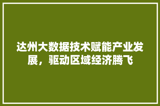达州大数据技术赋能产业发展，驱动区域经济腾飞