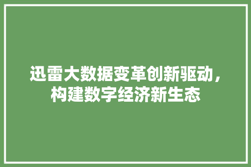 迅雷大数据变革创新驱动，构建数字经济新生态