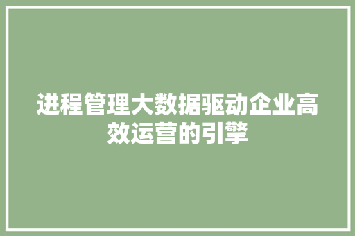 进程管理大数据驱动企业高效运营的引擎