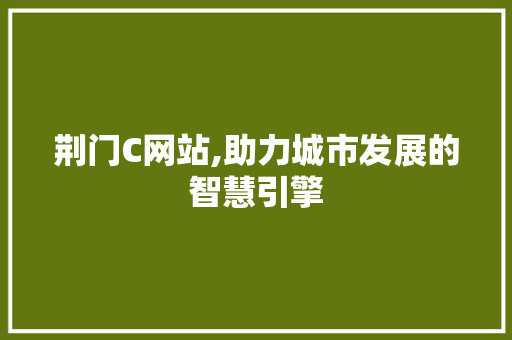 荆门C网站,助力城市发展的智慧引擎