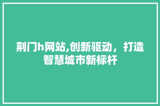 荆门h网站,创新驱动，打造智慧城市新标杆