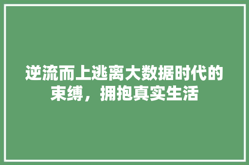 逆流而上逃离大数据时代的束缚，拥抱真实生活