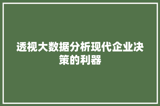 透视大数据分析现代企业决策的利器