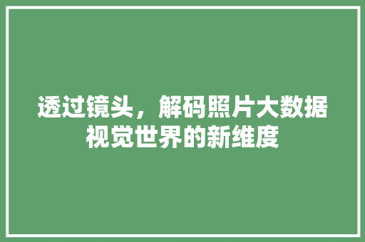 透过镜头，解码照片大数据视觉世界的新维度