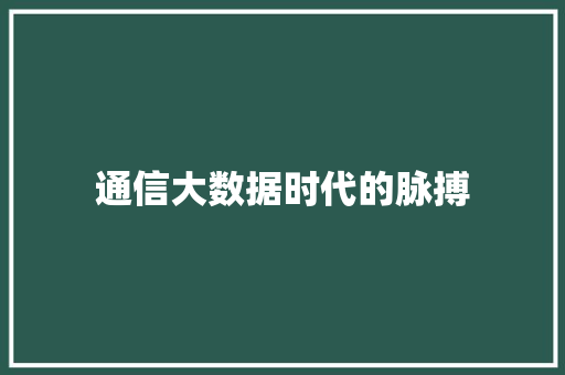 通信大数据时代的脉搏