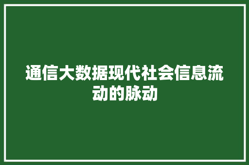 通信大数据现代社会信息流动的脉动