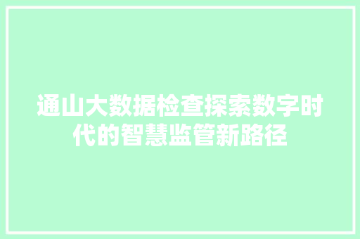 通山大数据检查探索数字时代的智慧监管新路径